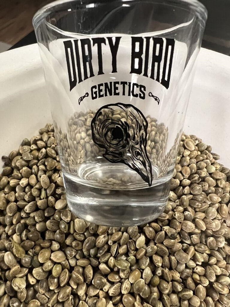 Dirty Bird Shot Glass